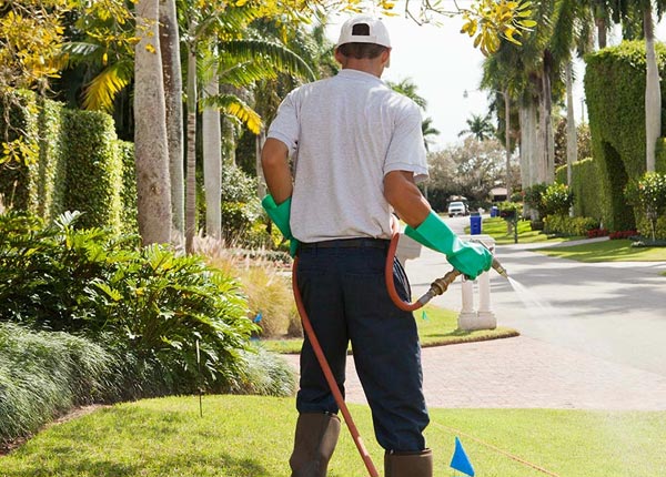 About Henderson NY Pest Control